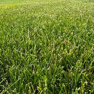 Hemmingsen Lawn and Landscapes LLC logo