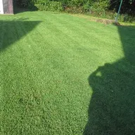 ARS Lawn Care logo