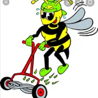 Yellow jacket pro cut lawn care inc logo