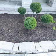 Lawn Maintenance and Landscaping LLC logo