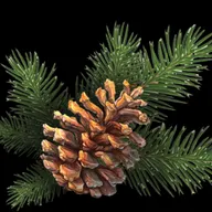 Pinette Lawncare and Landscaping logo