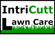 Intricutt logo