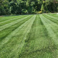 Lemons Lawn Care logo