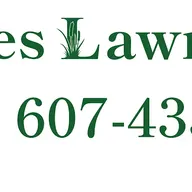 Haynes Lawn Care and Snow Removal logo