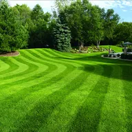 Lawn & Order SMU LLC logo