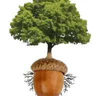 Oaks Lawn Care, LLC logo
