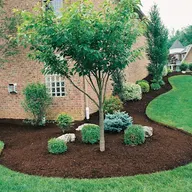 All About Lawns LLC logo