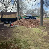 Byron Joels Tree Removal & Landscaping logo