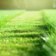 Zack's Mowing and Blowing logo