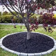 Pitbull Landscaping and Lawn Service logo