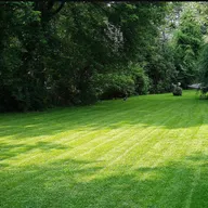 Ray's Lawn Mowing & Snow Removal logo