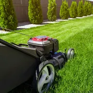 R   N Professional Lawn Care logo