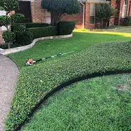 Morenos lawn and landscape logo