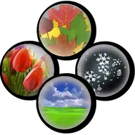 Walnut Creek Lawn & Landscape Services, LLC logo