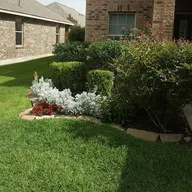 Green Therapy Landscaping logo