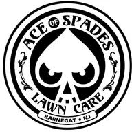 Ace of Spades Lawn and Property Services logo