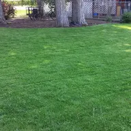 G & G Lawn Services logo