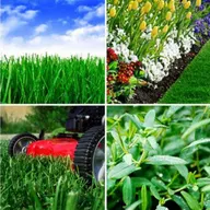 LRR - Lawn and Landscape Service logo