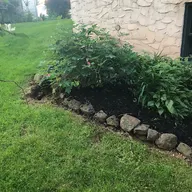 Cory's Lawn Service logo