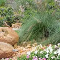 IR LAWNCARE AND MAINTENANCE L.L.C logo