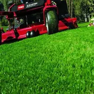 Davidson Lawn Care, LLC logo