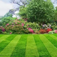 Four Seasons Lawn Service logo