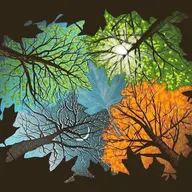 Four Seasons Precision Lawn Care logo