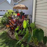 Tropical Landscaping Services, LLC logo