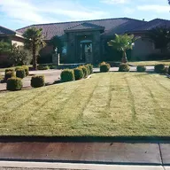Vidal Lawn Service logo