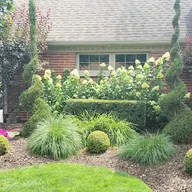 Dos Amigos Landscaping logo