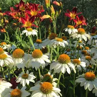Pleasant View Gardens logo
