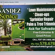 Hernandez Lawn Services y handyman logo