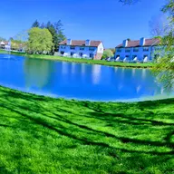 Lawn pro grounds management logo