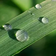 CJ's Lawn & Landscape LLC. logo