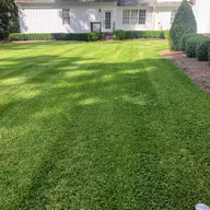 Greenview lawn and landscape logo