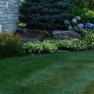Maintenance Plus Property Care, LLC logo