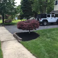 Monte Landscaping LLc logo
