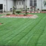 Cut rite lawn care services & Landscaping logo