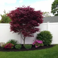 AL.Landscaping logo