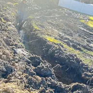 Mr Ramos Landscaping Service logo