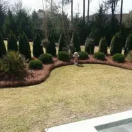 Bells Pine Straw logo