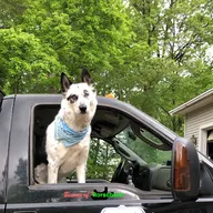 Chets Landscaping and Snowplowing LLC logo