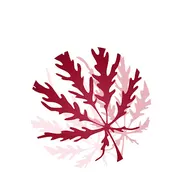 Pro Pruners Landscaping & Design LLC logo
