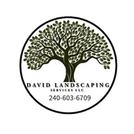 David Landscaping Services logo