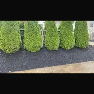 Jose Amaya Landscaping INC logo