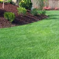 Armstrong lawncare and landscaping logo