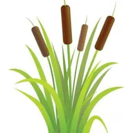Wetland Landscaping Maintenance logo