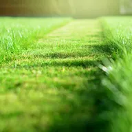 RichScape Lawn&Gardening,llc logo