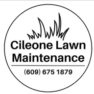 Cileone Lawn Maintenance logo