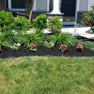 Payne Landscaping logo